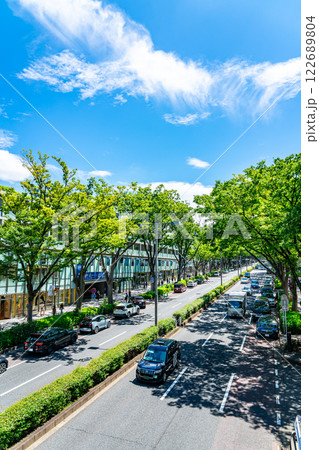 【東京都】爽やかな青空と街路樹が印象的な夏の表参道 【東京都】爽やかな青空と街路樹が印象的な夏の表参道 122689804