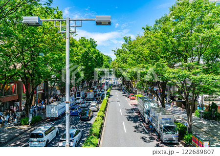 【東京都】爽やかな青空と街路樹が印象的な夏の表参道 【東京都】爽やかな青空と街路樹が印象的な夏の表参道 122689807
