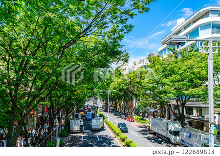【東京都】爽やかな青空と街路樹が印象的な夏の表参道 122689813