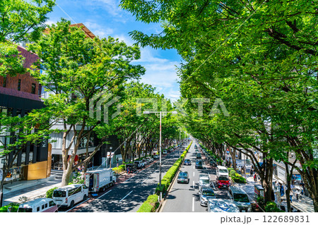 【東京都】爽やかな青空と街路樹が印象的な夏の表参道 122689831