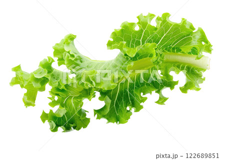 Ripe slice of Mixed vegetables floating isolated background Ripe slice of Mixed vegetables floating isolated background 122689851