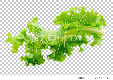 Ripe slice of Mixed vegetables floating isolated background Ripe slice of Mixed vegetables floating isolated background 122689851