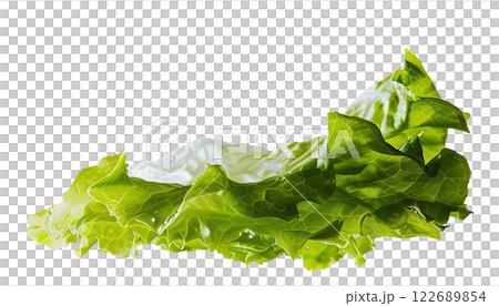 Ripe slice of Mixed vegetables floating isolated background 122689854
