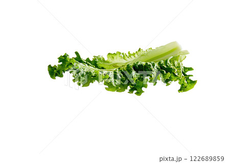 Ripe slice of Mixed vegetables floating isolated background Ripe slice of Mixed vegetables floating isolated background 122689859