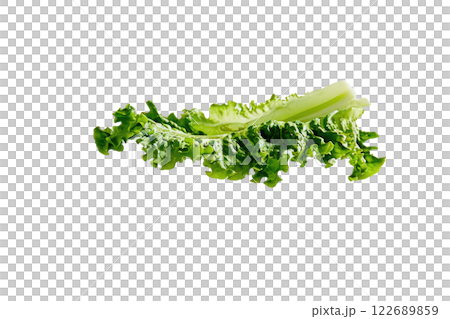 Ripe slice of Mixed vegetables floating isolated background 122689859