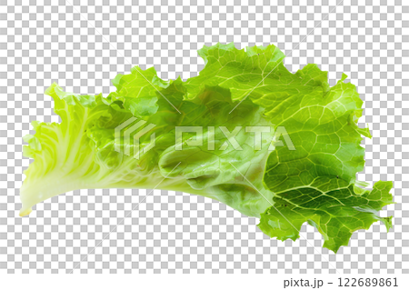 Ripe slice of Mixed vegetables floating isolated background Ripe slice of Mixed vegetables floating isolated background 122689861