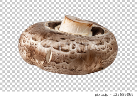 ripe slice of mushroom floating, isolated background ripe slice of mushroom floating, isolated background 122689869