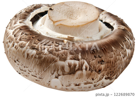ripe slice of mushroom floating, isolated background ripe slice of mushroom floating, isolated background 122689870