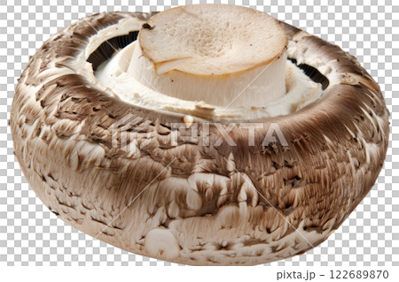 ripe slice of mushroom floating, isolated background 122689870