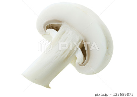 ripe slice of mushroom floating, isolated background ripe slice of mushroom floating, isolated background 122689873