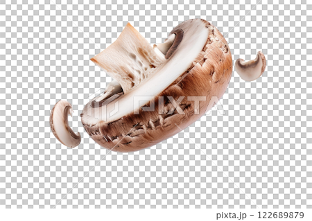ripe slice of mushroom floating, isolated background 122689879