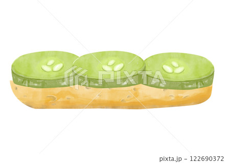 Watercolor Sandwich With Toasted Bread Piece With Three Slices Pickled Cucumber Textured Painting Illustration for Print, Web and Textile, Menu 122690372