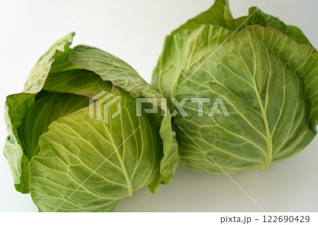 やわらかくて優しい雰囲気のキャベツのイメージ - 3:2 やわらかくて優しい雰囲気のキャベツのイメージ - 3:2 122690429