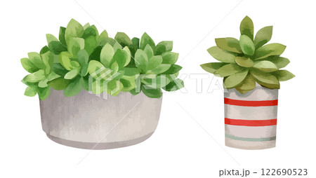 小さな入れ物に入った多肉植物の水彩風イラストセット　生成AI 122690523