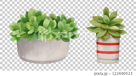 小さな入れ物に入った多肉植物の水彩風イラストセット　生成AI 122690523