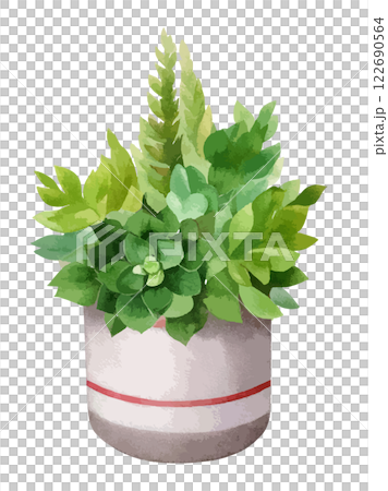 盆栽多肉植物的水彩畫。 122690564
