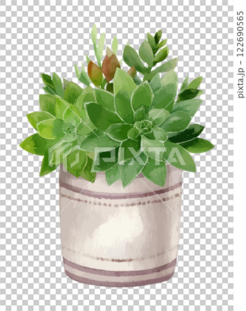 盆栽多肉植物的水彩畫。 122690565