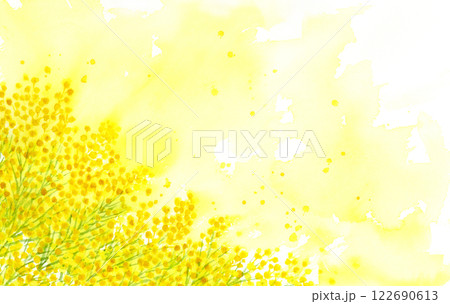 水彩で描いた幻想的なミモザの背景 アカシア フロリブンダ 水彩で描いた幻想的なミモザの背景 アカシア フロリブンダ 122690613