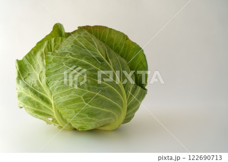 やわらかくて優しい雰囲気のキャベツのイメージ - 3:2 122690713