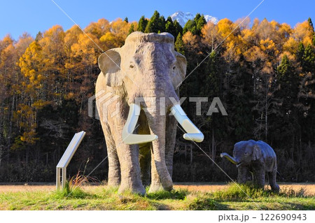 晩秋の信州信濃町 野尻湖湖畔のナウマンゾウの親子唐松の黄葉に映える 晩秋の信州信濃町 野尻湖湖畔のナウマンゾウの親子唐松の黄葉に映える 122690943
