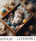 段ボールの子猫 122690961