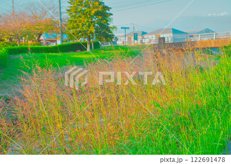 田舎の景色 122691478