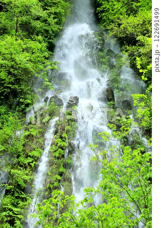 新緑の樽滝 新緑の樽滝 122691499