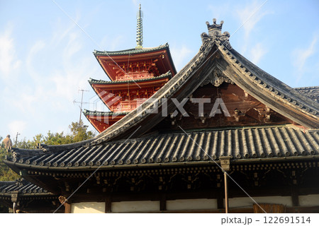 小豆島土庄町西光寺本堂と三重塔-1 122691514
