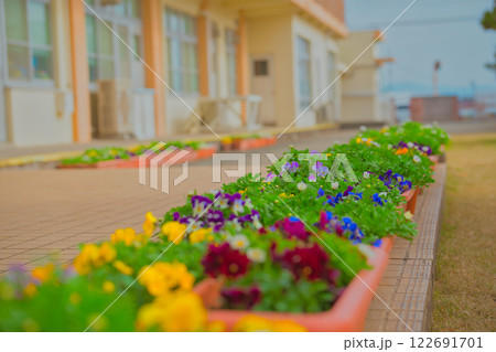 カラフルな花壇 カラフルな花壇 122691701
