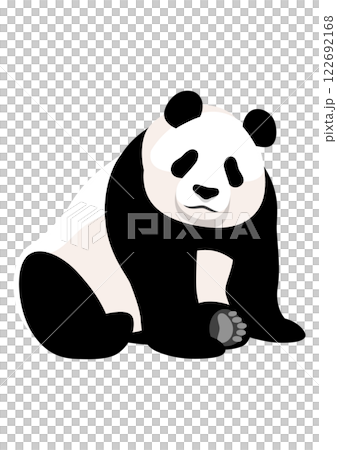 貓熊 122692168