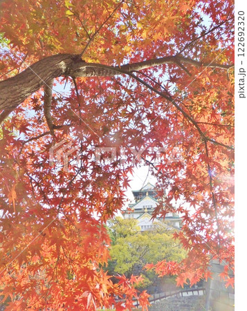 大阪城 秋の紅葉と天守閣 大阪城 秋の紅葉と天守閣 122692320