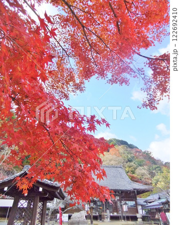 嵐山　法輪寺の紅葉 122692410
