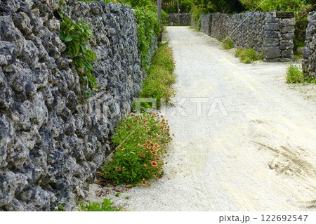 竹富島の石垣のある路地　　沖縄の風景 122692547