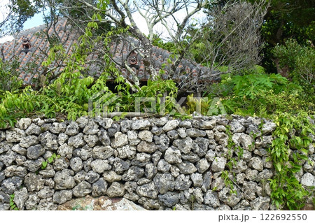 竹富島の石垣と民家の屋根 122692550