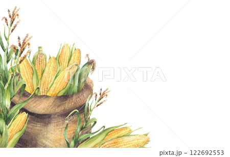Sack of corncobs. Canvas bag with harvested maize cobs against of fresh green plant square frame. Watercolor agricultural painted illustration for farm harvest label template. Isolated from background Sack of corncobs. Canvas bag with harvested maize cobs against of fresh green plant square frame. Watercolor agricultural painted illustration for farm harvest label template. Isolated from background 122692553