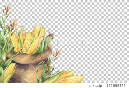 Sack of corncobs. Canvas bag with harvested maize cobs against of fresh green plant square frame. Watercolor agricultural painted illustration for farm harvest label template. Isolated from background Sack of corncobs. Canvas bag with harvested maize cobs against of fresh green plant square frame. Watercolor agricultural painted illustration for farm harvest label template. Isolated from background 122692553