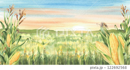 Field of corn banner. Watercolor landscape against sunset or sunrise sky. Farmers agricultural field with maize plant cobs, cereals. Farm nature view. Hand drawn illustration isolated from background Field of corn banner. Watercolor landscape against sunset or sunrise sky. Farmers agricultural field with maize plant cobs, cereals. Farm nature view. Hand drawn illustration isolated from background 122692568