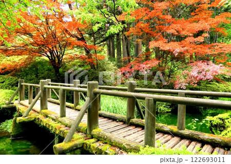 新緑の満願寺 122693011