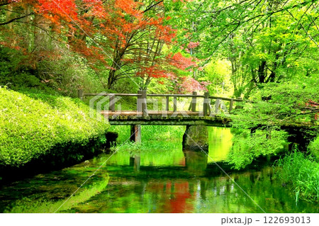 新緑の満願寺 新緑の満願寺 122693013