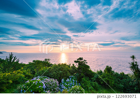 紫陽花と朝焼けの海の風景、東伊豆の早朝 122693071