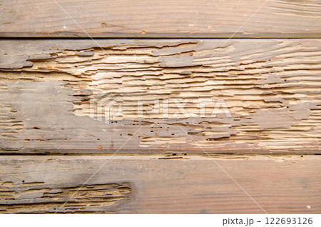 シロアリの被害にあった古民家の床 122693126