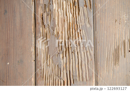 シロアリの被害にあった古民家の床 シロアリの被害にあった古民家の床 122693127