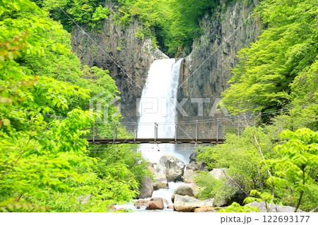 新緑の苗名滝 新緑の苗名滝 122693177