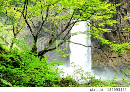 新緑の苗名滝 新緑の苗名滝 122693183