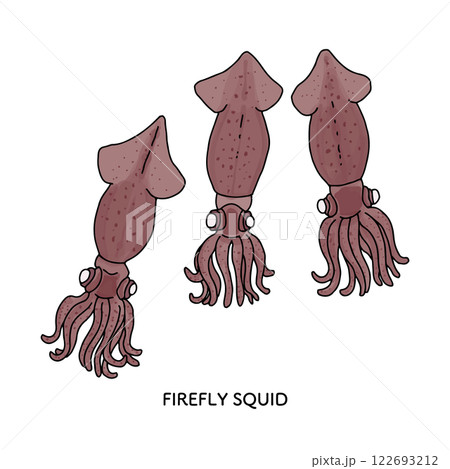 富山_ほたるいかのイラスト_線画 富山_ほたるいかのイラスト_線画 122693212