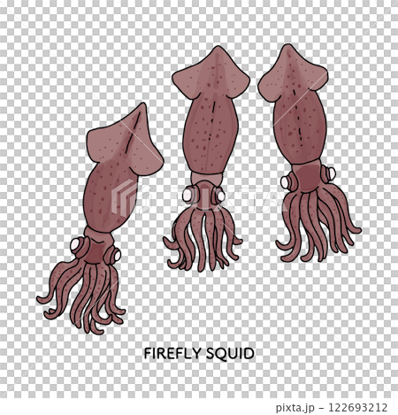 富山_螢火蟲魷魚插圖_線條畫 122693212