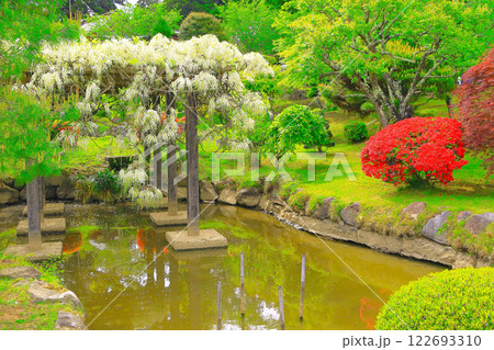 日本庭園の春の風景 122693310