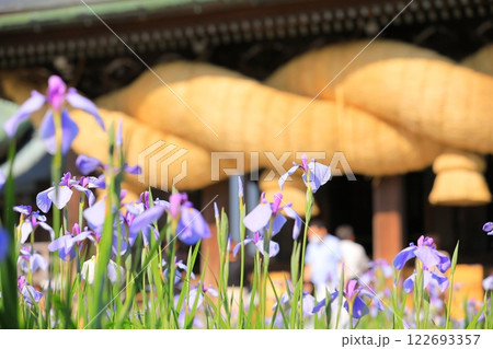 神社の菖蒲まつり 122693357