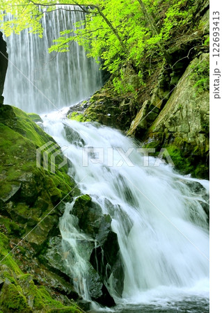 巣栗渓谷の滝 122693413