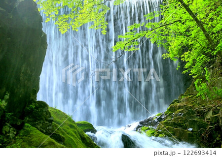 巣栗渓谷の滝 巣栗渓谷の滝 122693414